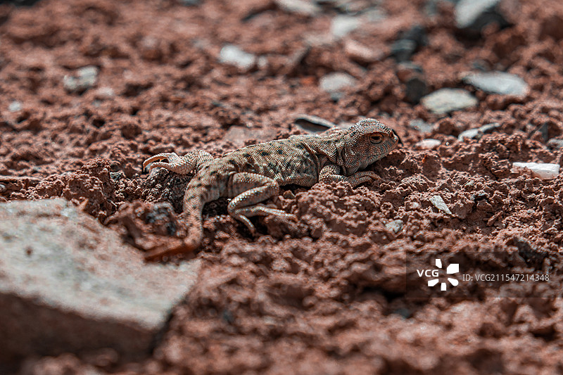 西昆仑·阿什库勒盆地图片素材