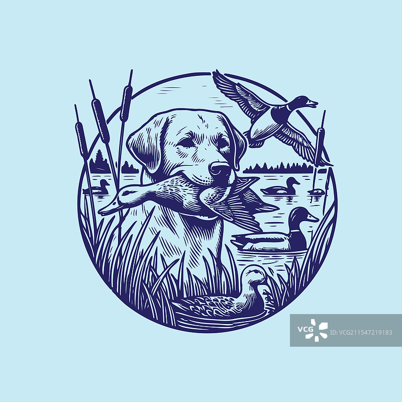 狗叼着一只鸭子在狩猎图片素材