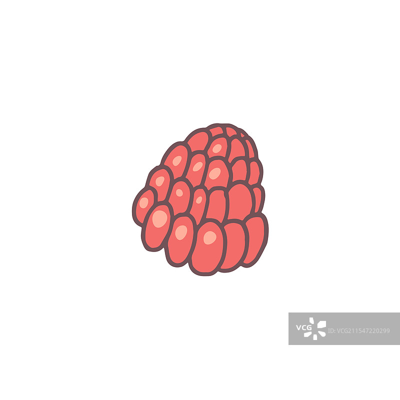 成熟的红色覆盆子扁平图标，甜美的浆果图片素材