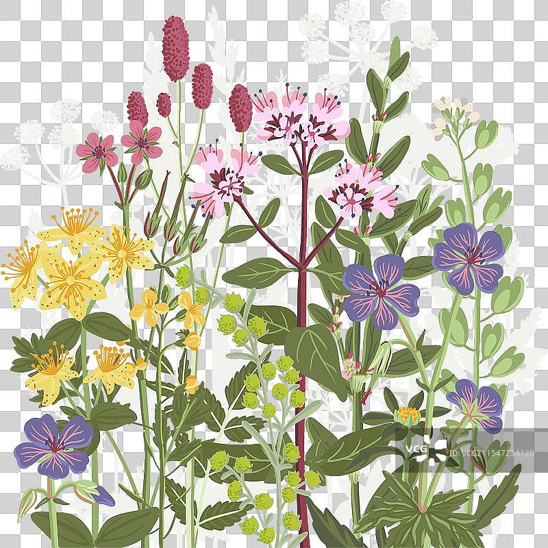 野花花束的绘画图片素材