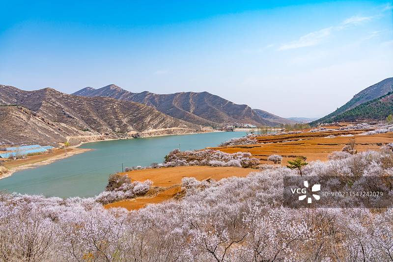 春天桃花山区水库风景图片素材