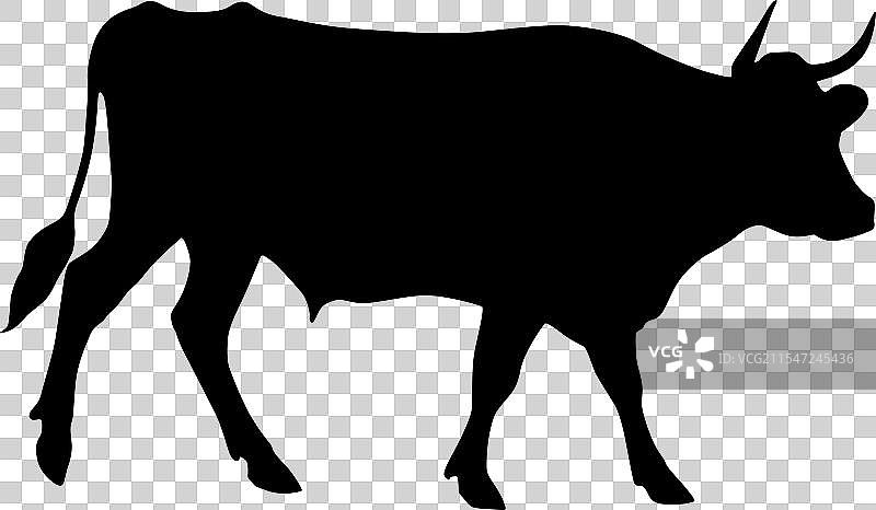 极简主义牛轮廓艺术创作图片素材