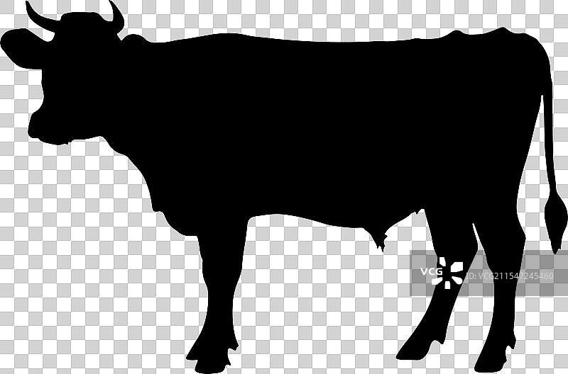 简单风格的牛剪影艺术图片素材