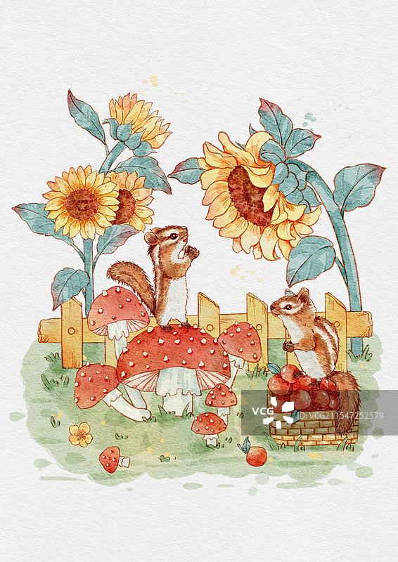 向日葵和花栗鼠图片素材