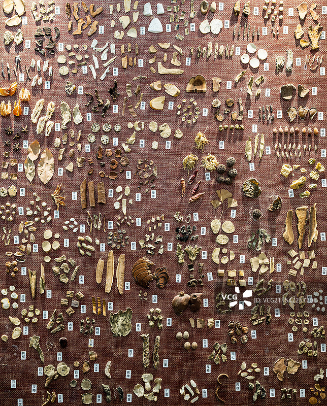 聊城东阿县阿胶城图片素材