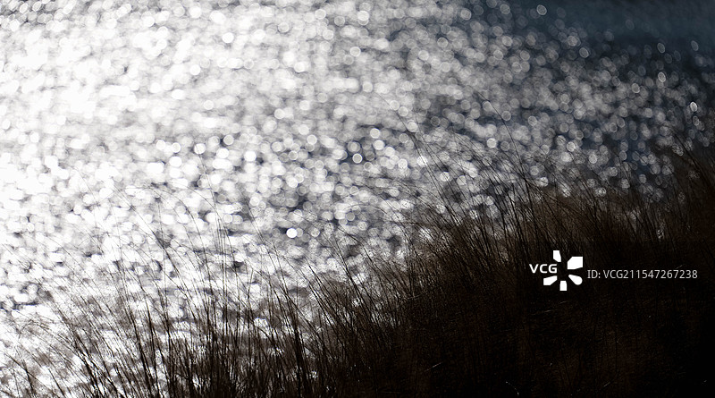 梦幻般的湖边水景图片素材