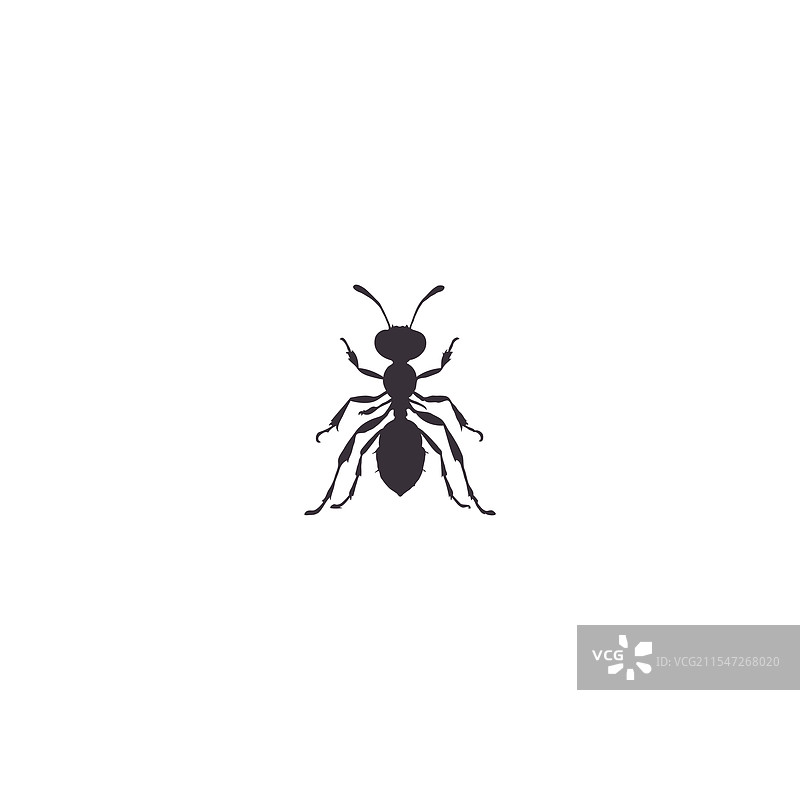孤立在白色背景上的蚂蚁图标剪影集图片素材