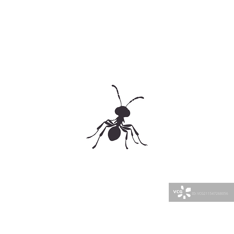 蚂蚁图标轮廓集，孤立在白色背景上图片素材