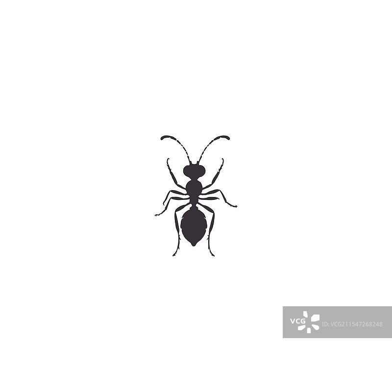 孤立在白色背景上的蚂蚁图标剪影集图片素材
