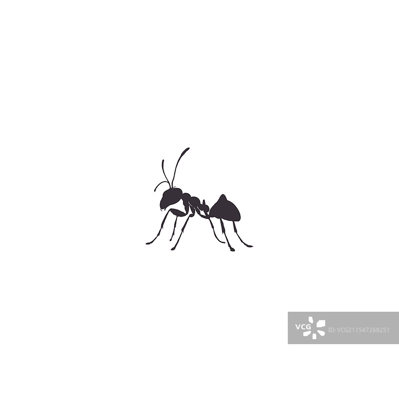 蚂蚁图标轮廓集，孤立在白色背景上图片素材