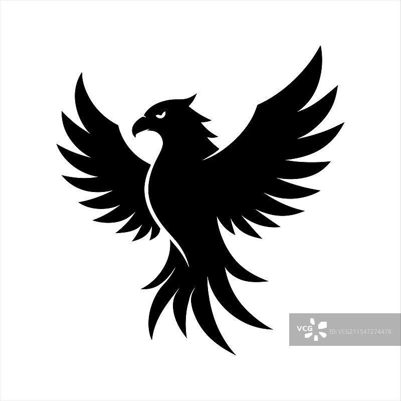 黑色鹰的轮廓在白色背景上图片素材