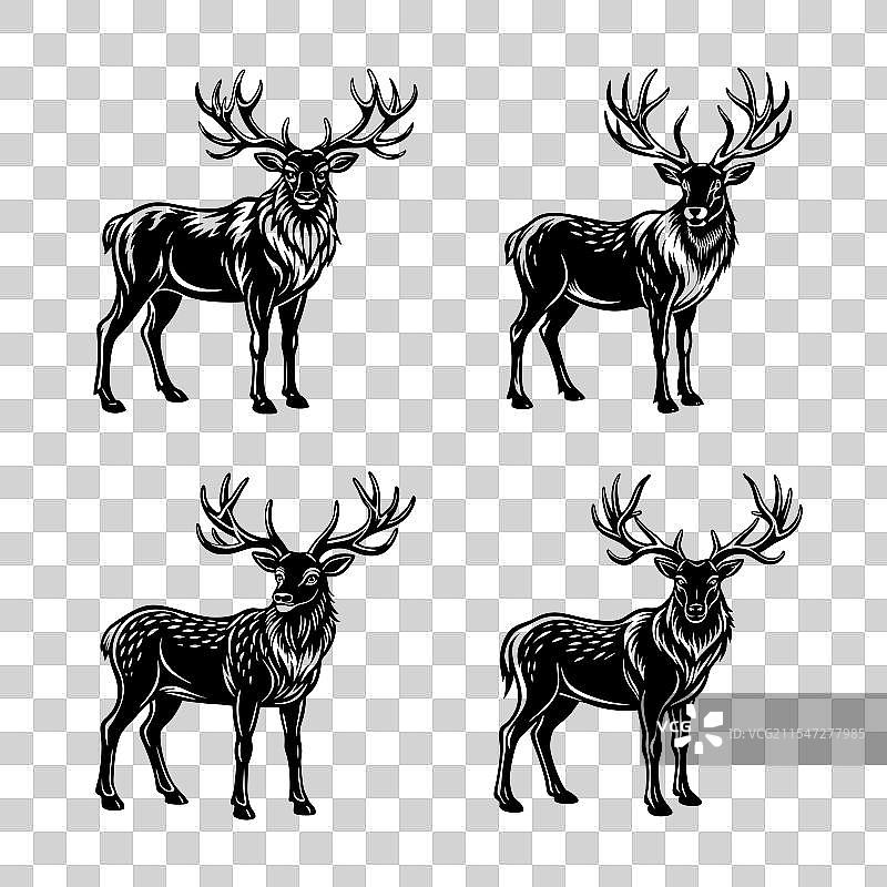 艾尔德斯鹿 SVG图片素材