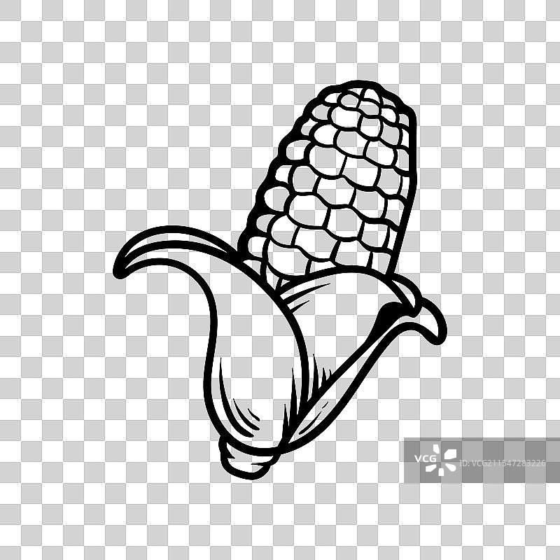 单个玉米的线条艺术风格素描涂色图图片素材