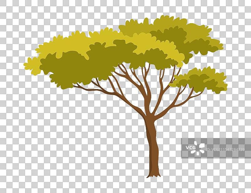 树木生态概念的自然植物花园图片素材