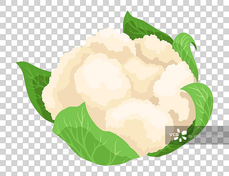 花椰菜卷心菜图标蔬菜图片素材