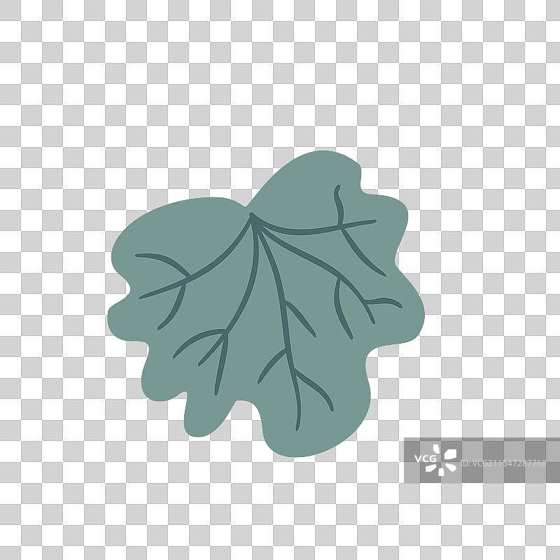 孤立在白色背景上的风铃草，风格化处理图片素材