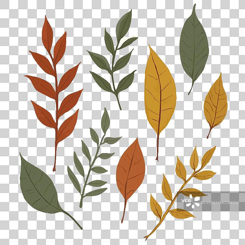 秋天的落叶收集图片素材