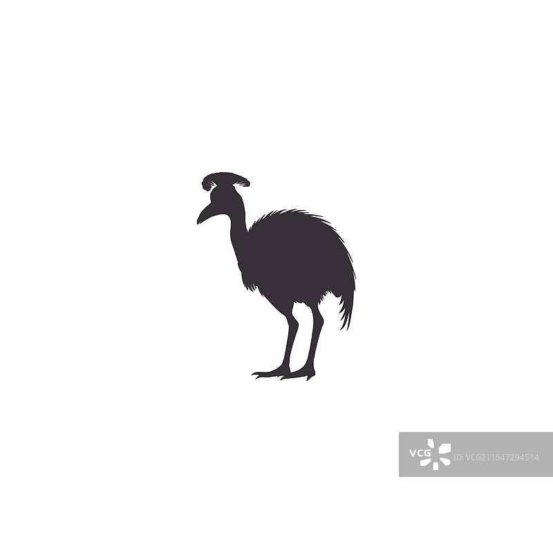 白色背景上的鸸鹋轮廓图片素材