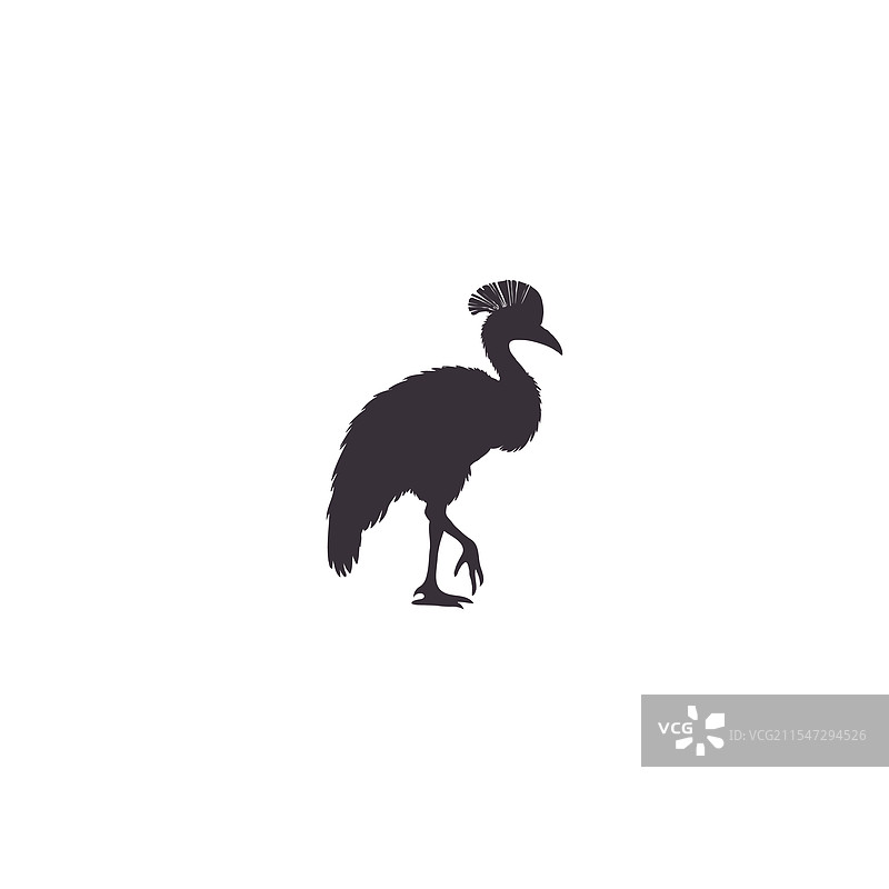 白色背景上的鸸鹋轮廓图片素材