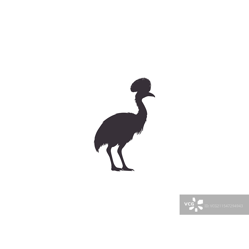 白色背景上的鸸鹋轮廓图片素材