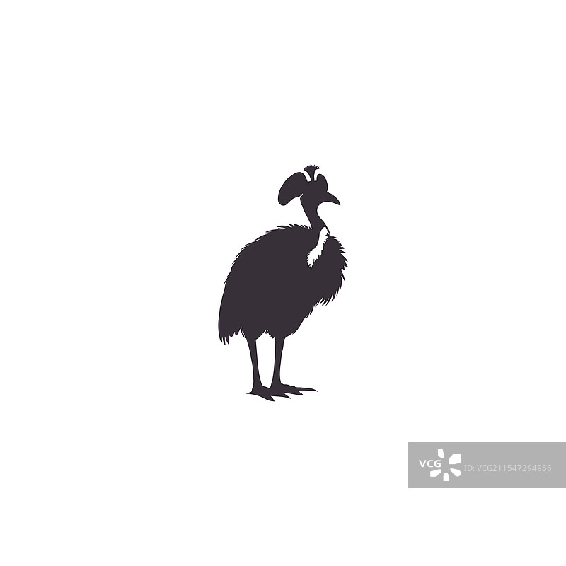 白色背景上的鸸鹋轮廓图片素材