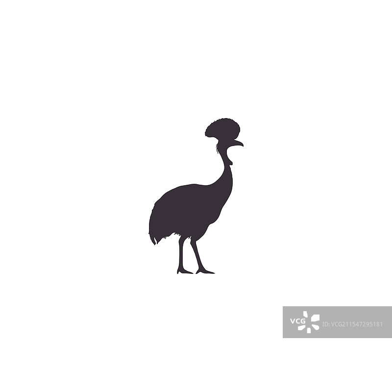 白色背景上的鸸鹋轮廓图片素材