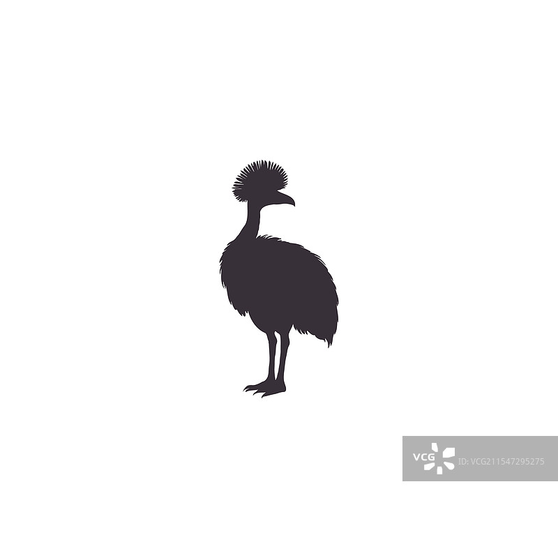 白色背景上的鸸鹋轮廓图片素材