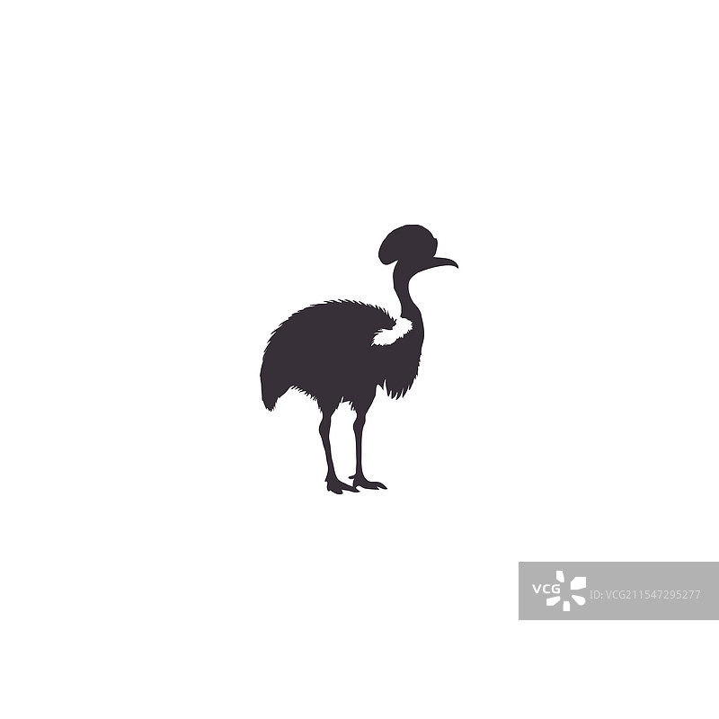白色背景上的鸸鹋轮廓图片素材