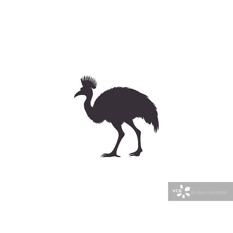 白色背景上的鸸鹋轮廓图片素材
