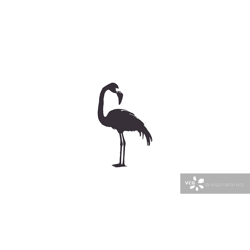 火烈鸟剪影设计6个捆绑文件图片素材