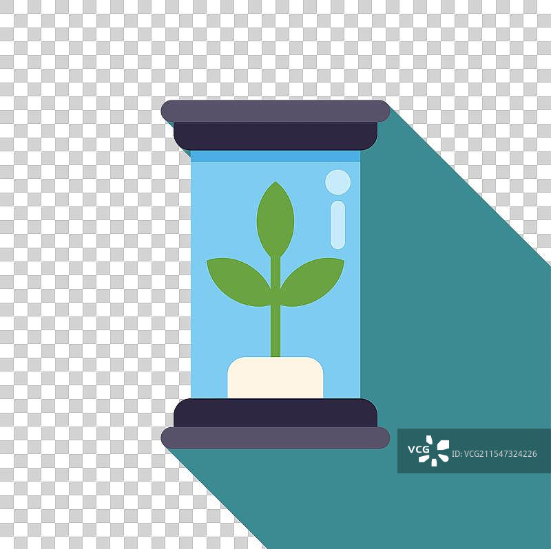 小植物在试管中生长图片素材