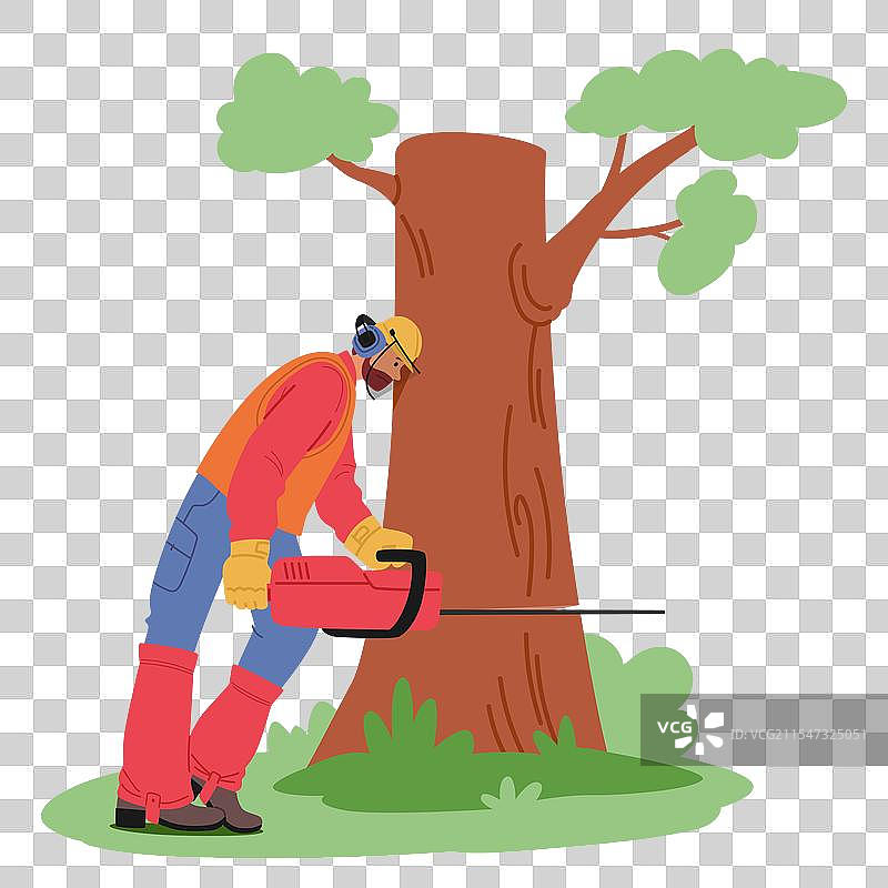 伐木工使用链锯砍倒一棵树图片素材