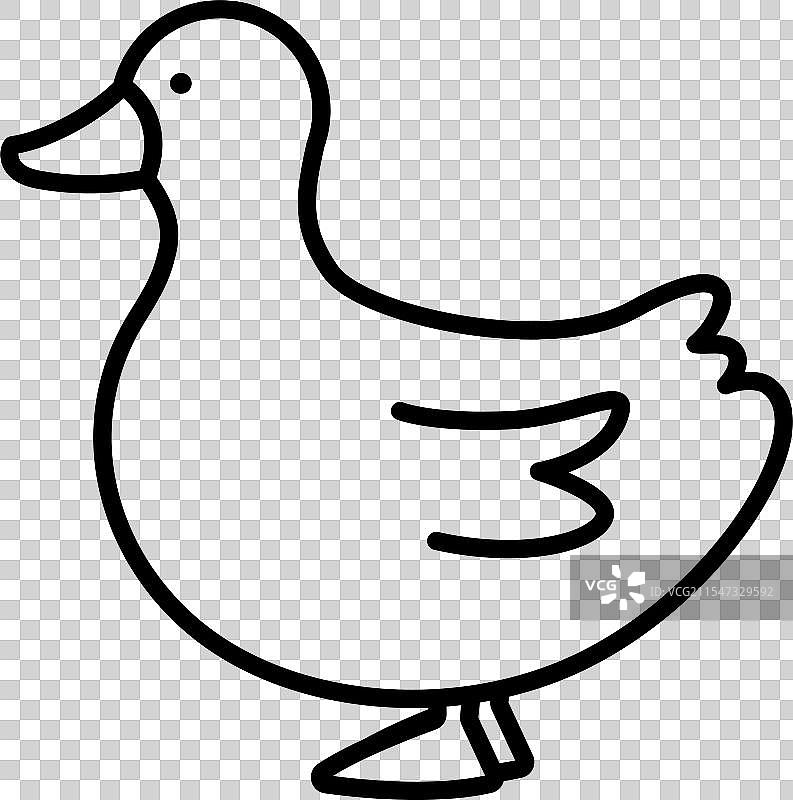 鸭子动物G风格图片素材