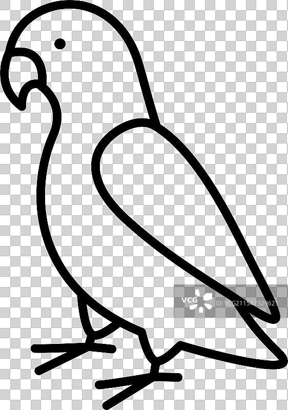 鹦鹉动物G风格图片素材