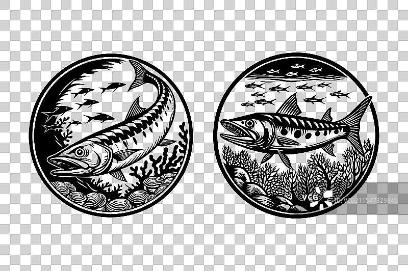 梭鱼图标艺术图片图片素材