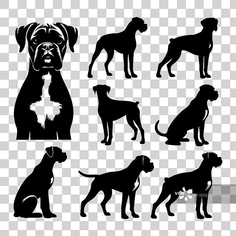 白色背景上的拳师犬剪影集图片素材