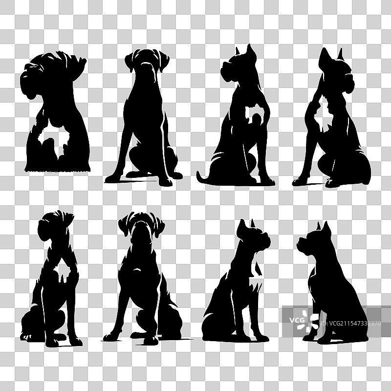 白色背景上的拳师犬剪影集图片素材