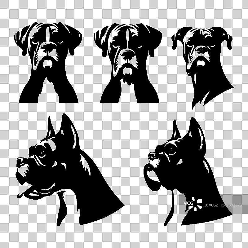 白色背景上的拳师犬剪影集图片素材