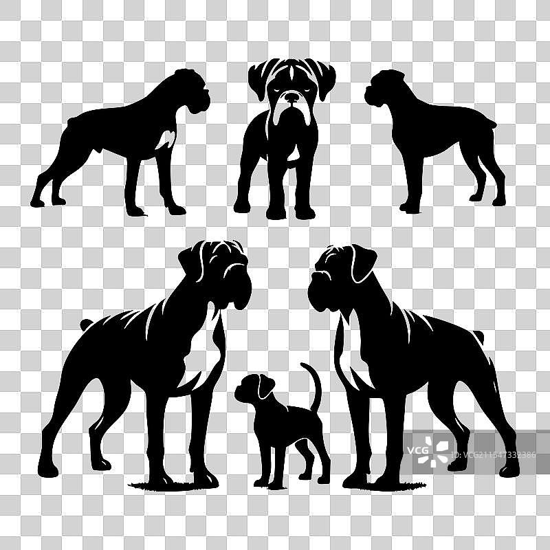 白色背景上的拳师犬剪影集图片素材