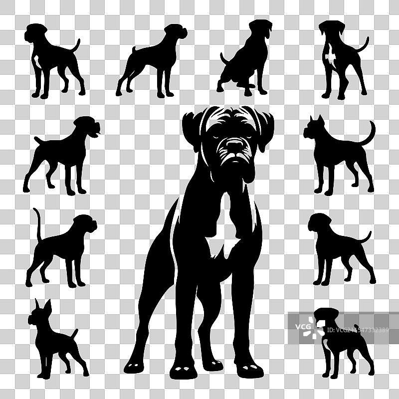 白色背景上的拳师犬剪影集图片素材