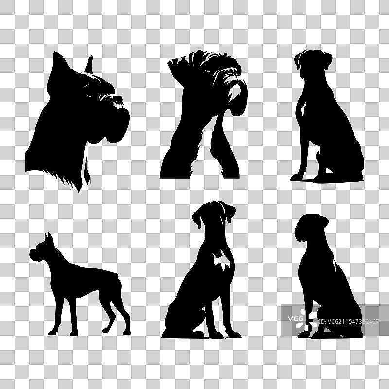 白色背景上的拳师犬剪影集图片素材