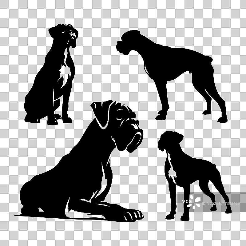 白色背景上的拳师犬剪影集图片素材