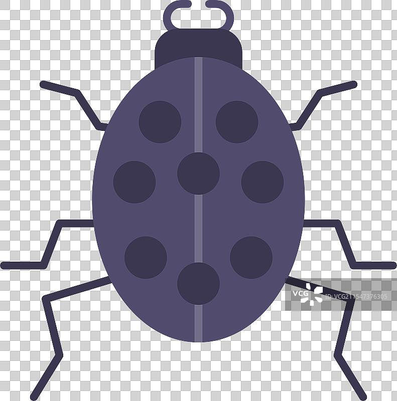 甲虫扁平图标设计图片素材