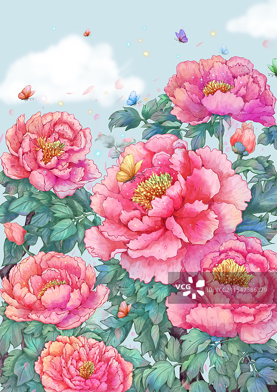 牡丹插画图片素材