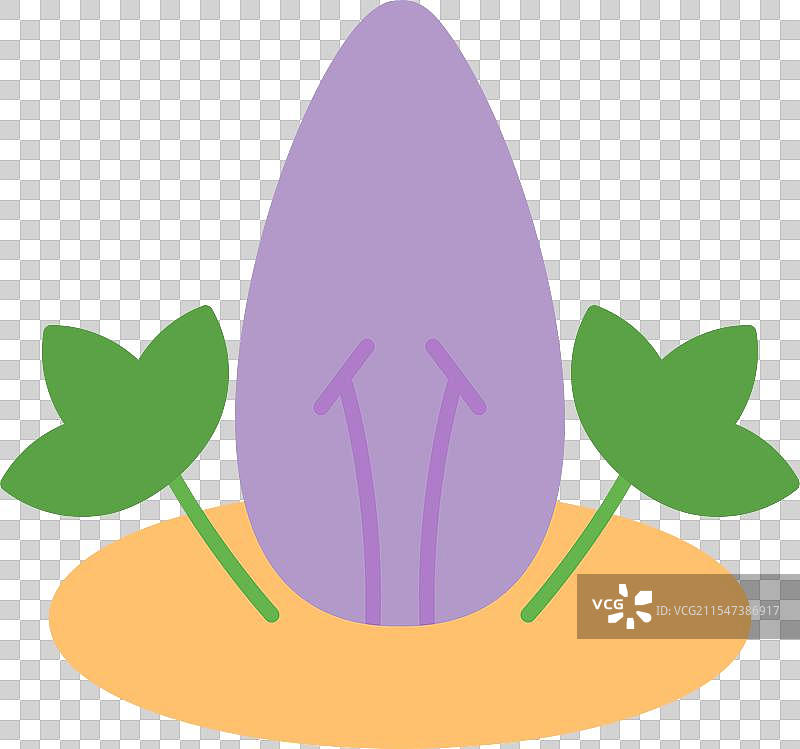 龙舌兰科平面图标设计图片素材