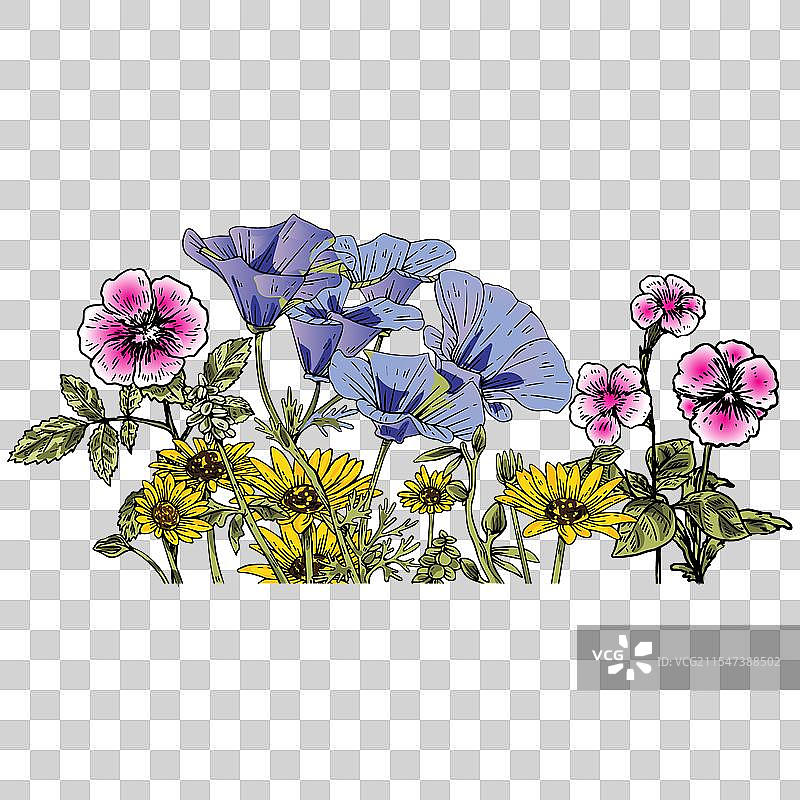 极简风格的野花手绘图片素材