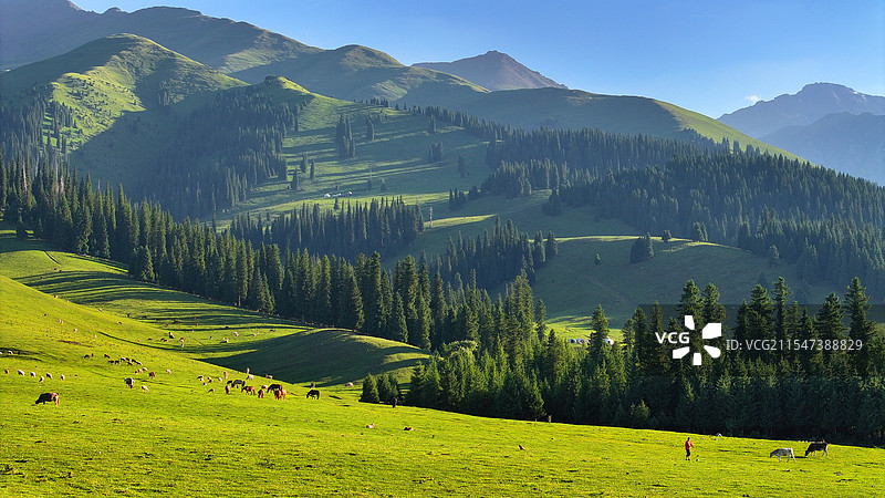 那拉提图片素材