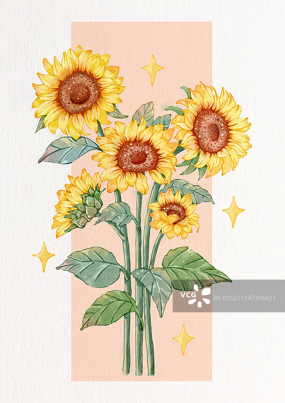 向日葵图片素材