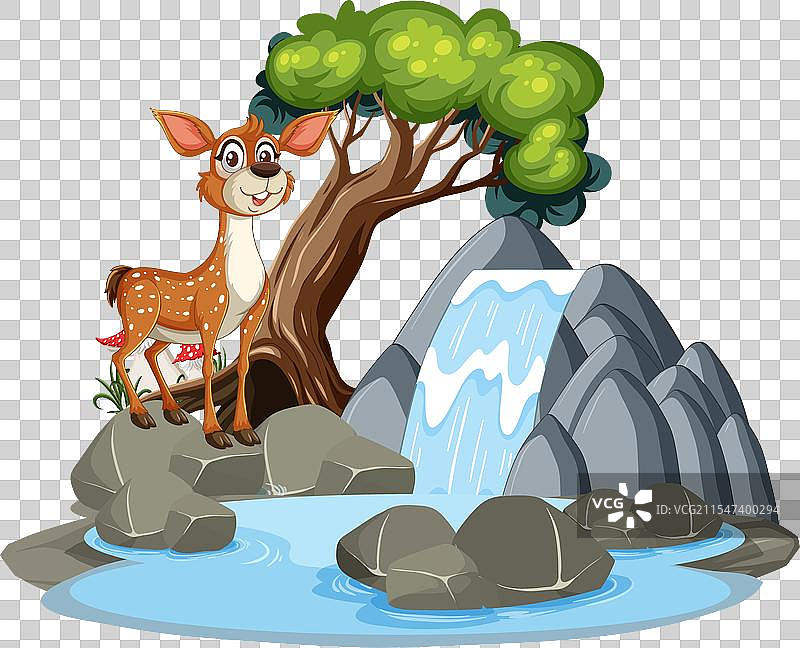 一只快乐的鹿站在小瀑布旁边图片素材