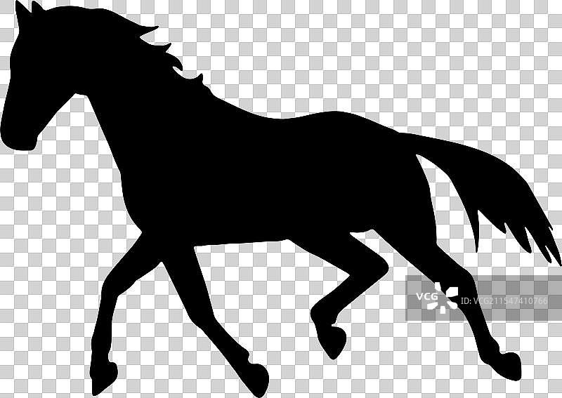 冒险的马轮廓图片素材